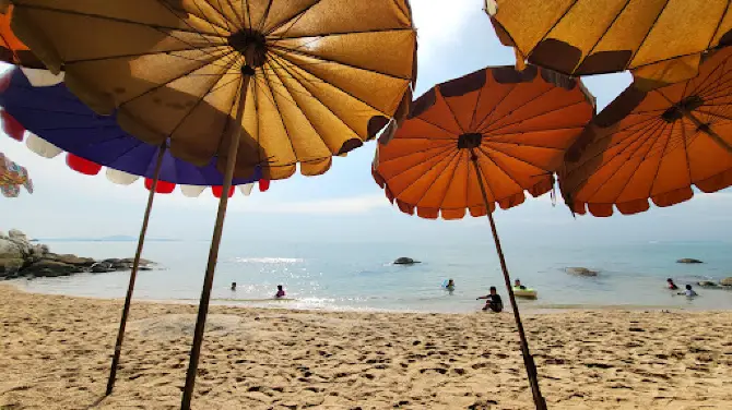 นาเกลือ 18