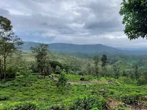 Sinharaja Entrance - Deniyaya, Kurulugala