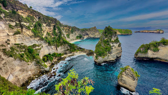 Rumah Pohon "Tree House"