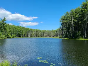 Whip-O-Will Campground