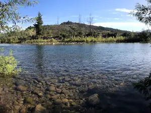 Camping El Boldo