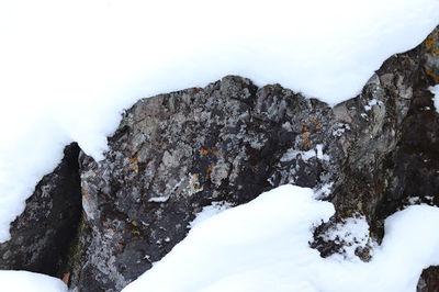 Pillow Rock