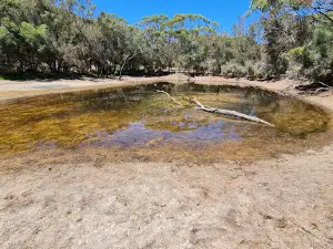 Eadine Springs