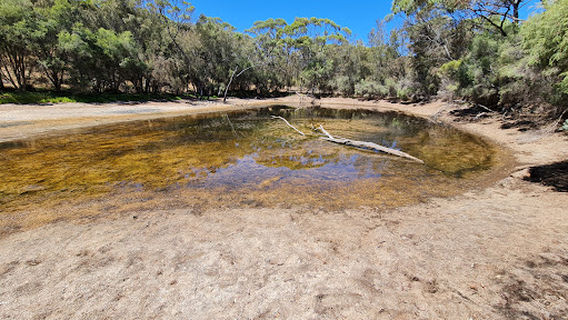 Eadine Springs