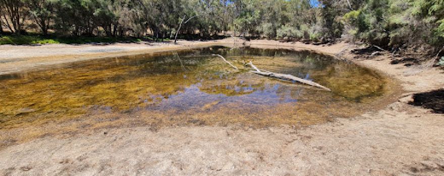 Eadine Springs