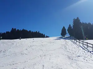 Luggi Leitner-Lift