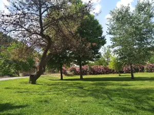 Leaded Picnic Area