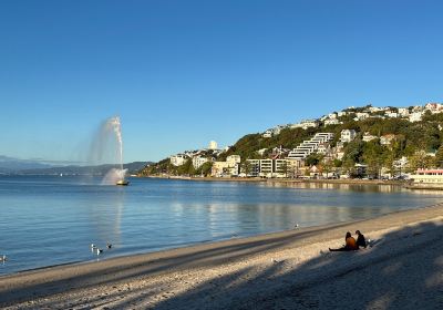 Oriental Bay