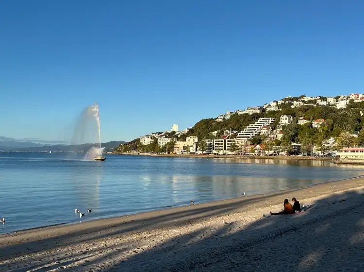 Hotels near Oriental Bay