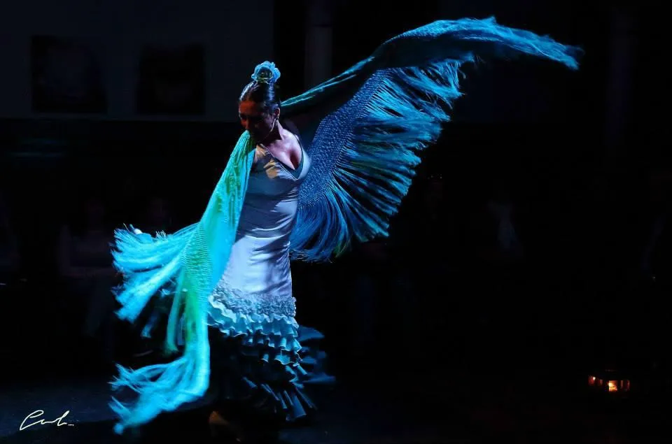 2_La Casa del Flamenco Auditorio Alcantara