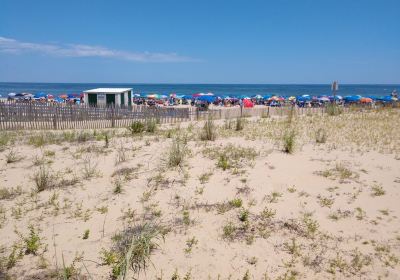 Rehoboth Beach Public Beach