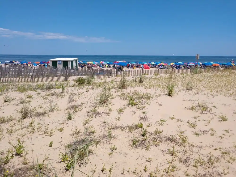 Hotels near Rehoboth Beach Public Beach