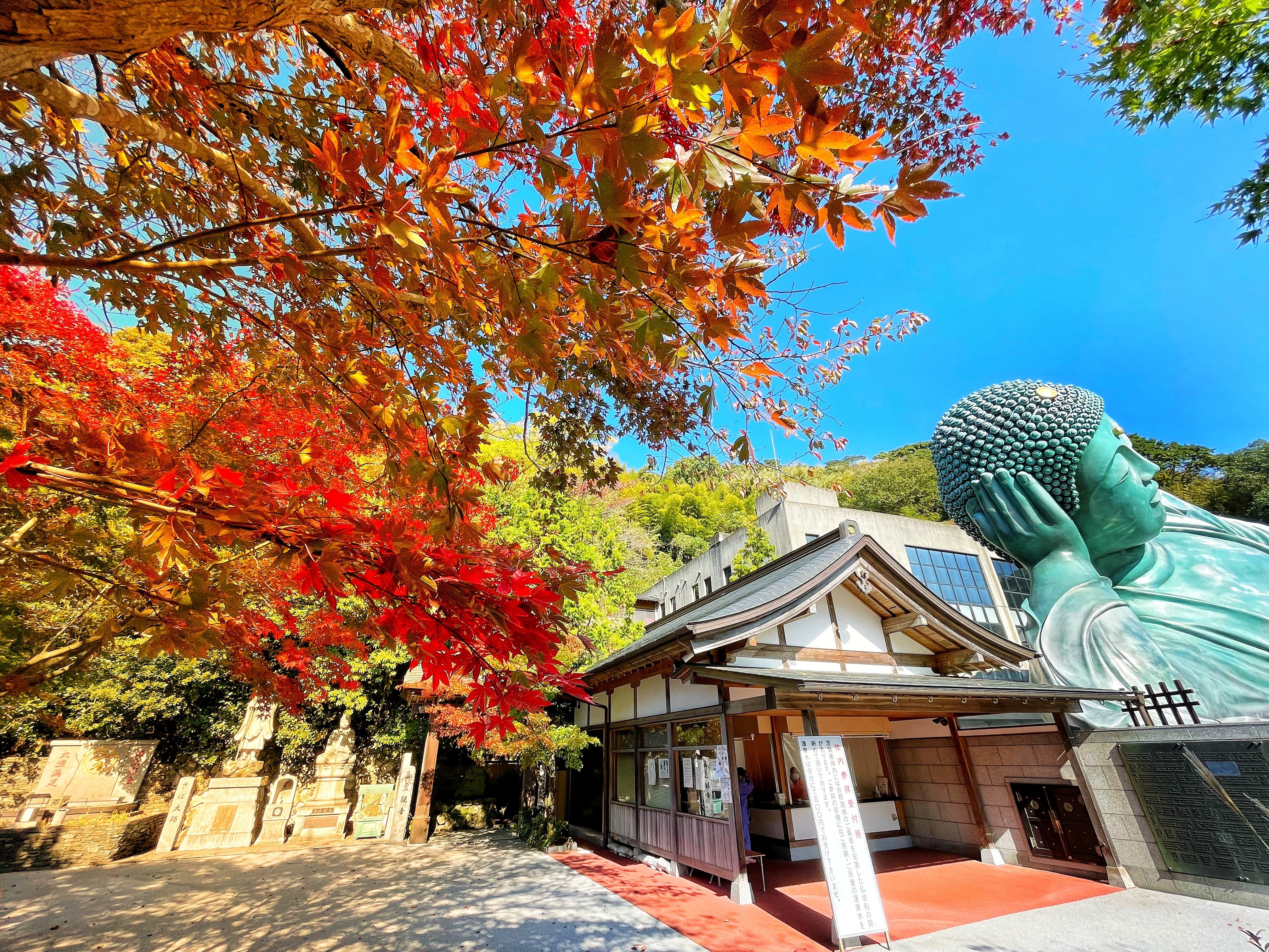 必見🗽圧巻の世界一の涅槃像🗽福岡県 | Trip.com 篠栗町