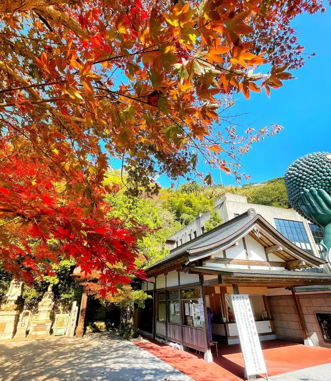 Sasaguri