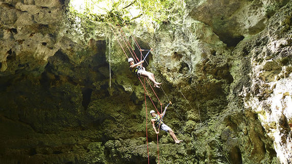 Xenotes Oasis Maya by Xcaret