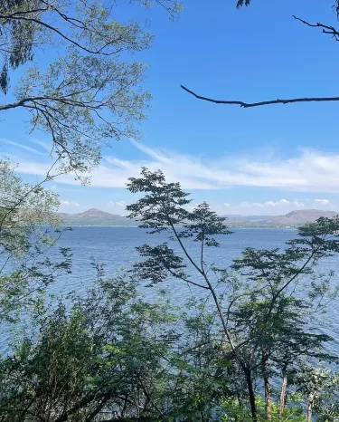 Hartbeespoort Dam Snake and Animal Park