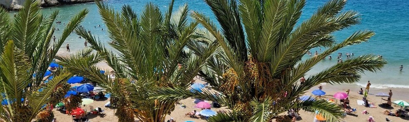 travel