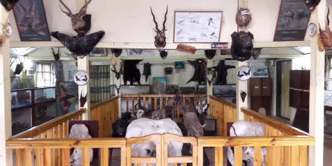 希達利夫人公園