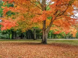 Goddard Memorial State Park