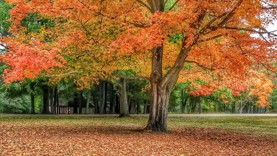 Goddard Memorial State Park