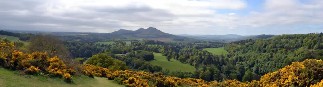 Hotels near Scott's View