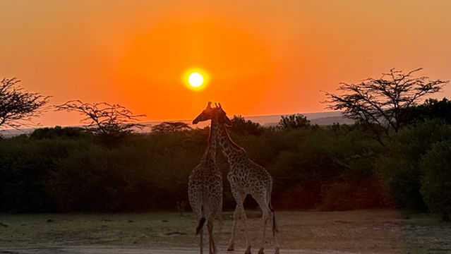 JT SAFARIS(Julius Tact) LTD