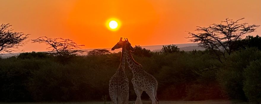 JT SAFARIS(Julius Tact) LTD