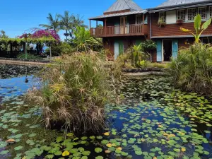 Conservatoire Botanique National