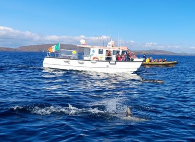 Whale Watch West Cork