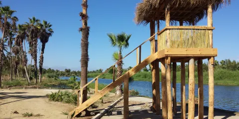 San Jose's Estuary and Bird Sanctuary