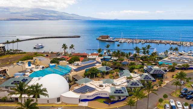 Maui Ocean Center, The Aquarium of Hawaii