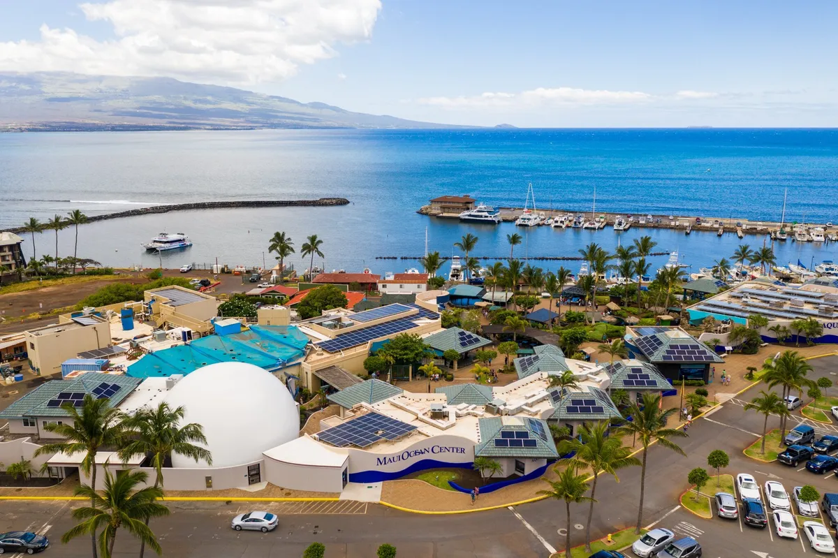 Maui Ocean Center, The Aquarium of Hawaii