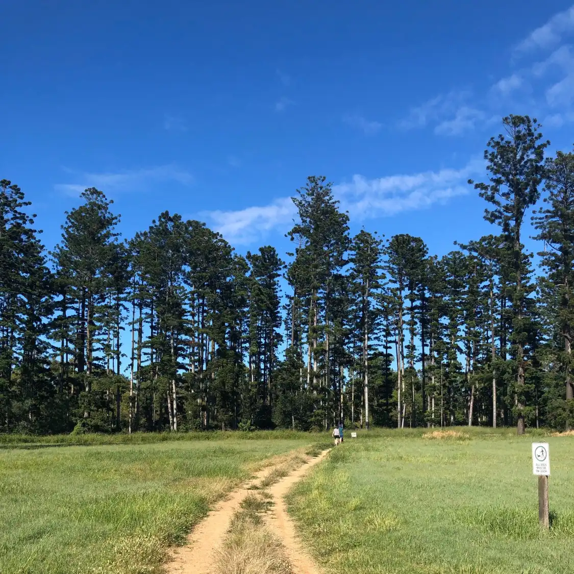 Hotels near Oxley Creek Common
