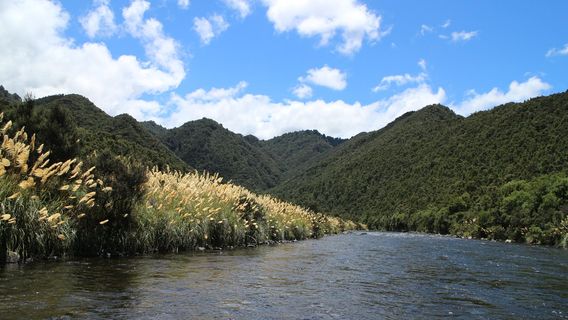 Te Pohue