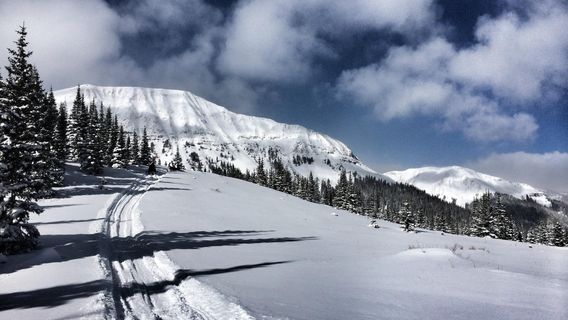 Snowmobile Adventures