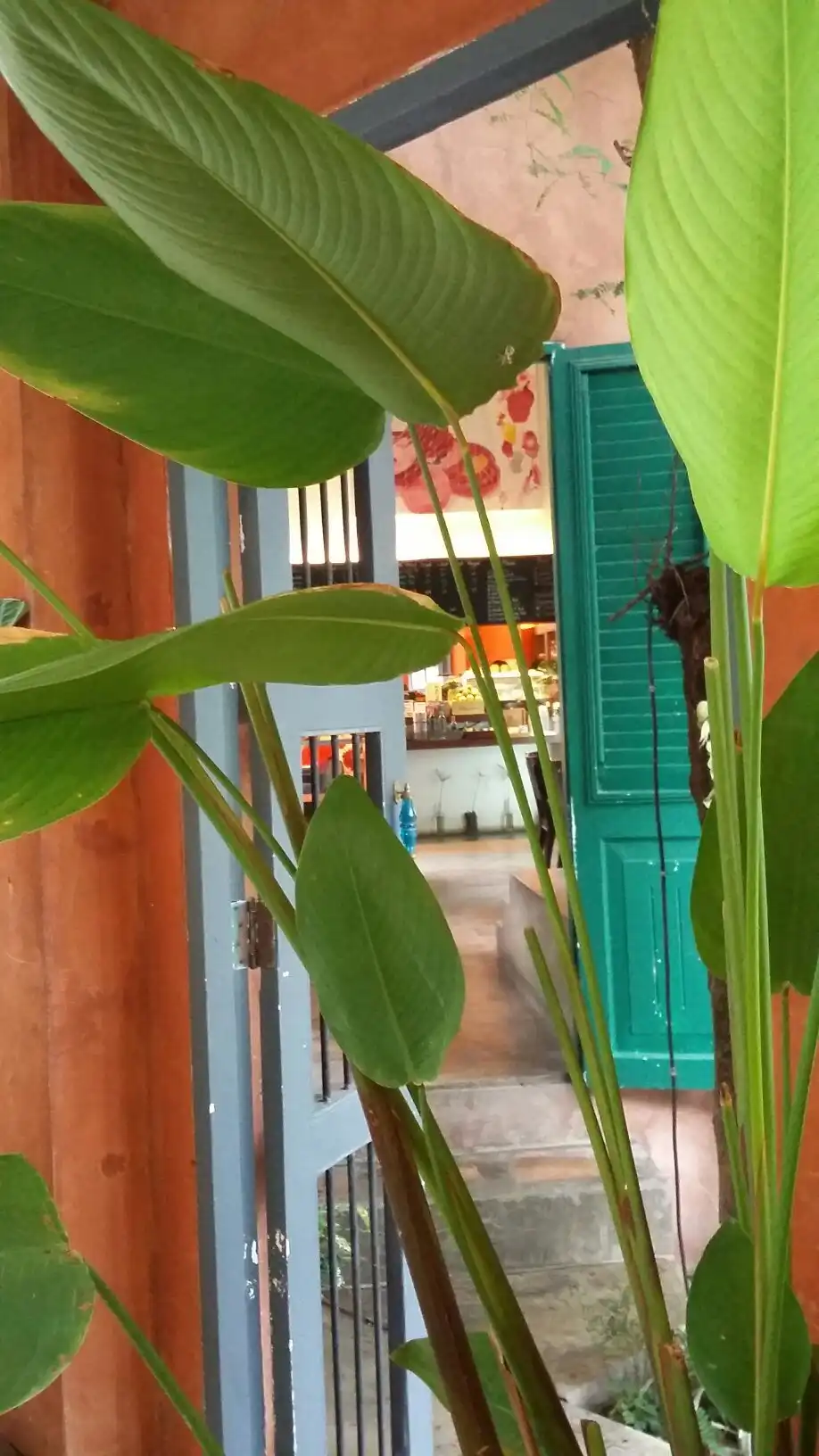 Hotel in zona Tita Gallery