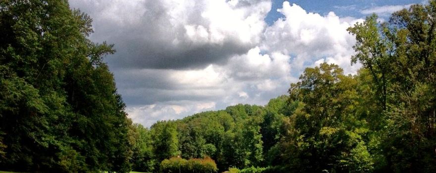 Cameron Hills Golf Club
