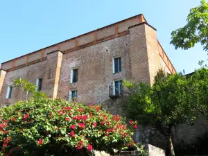 Museo Universitario Alejandro Rangel