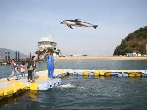 Japan Dolphin Center