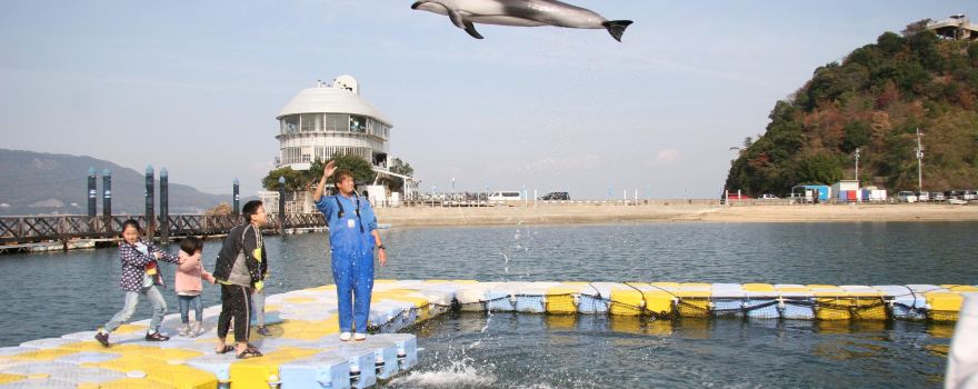 Japan Dolphin Center