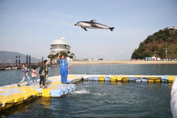 Japan Dolphin Center
