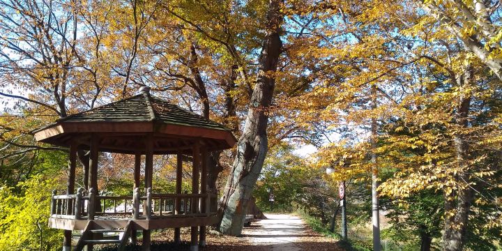 Gwanbangjerim Forest