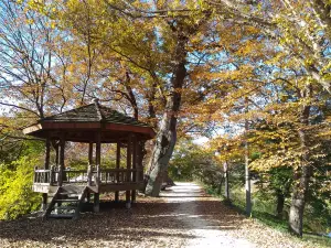 Gwanbangjerim Forest