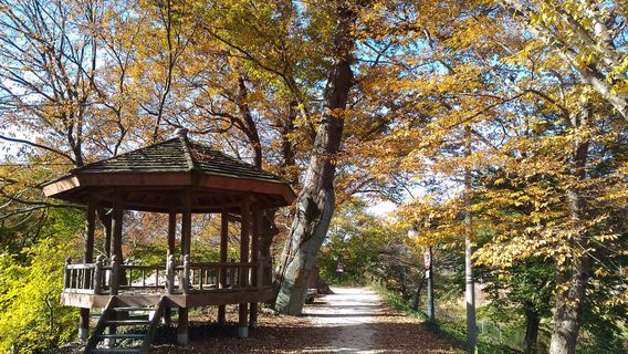 Gwanbangjerim Forest