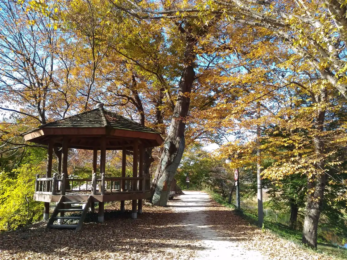 Hotels near Gwanbangjerim Forest