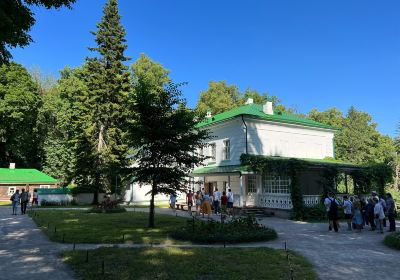 Shchyokinsky District