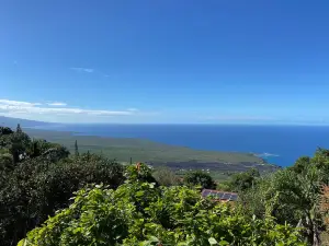 Sacred Grounds Coffee Farm