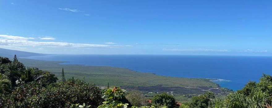 Sacred Grounds Coffee Farm