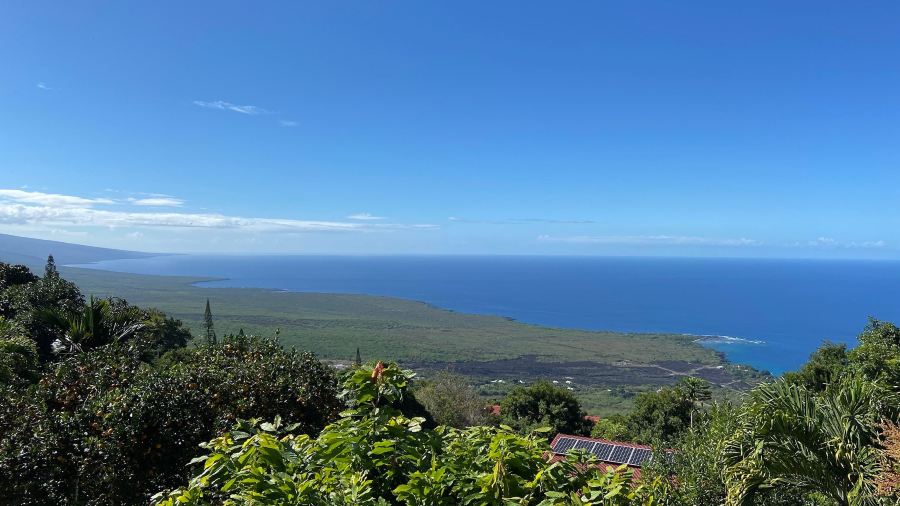 Sacred Grounds Coffee Farm