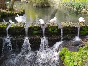 Parco di San Leonardo di Siete Fuentes